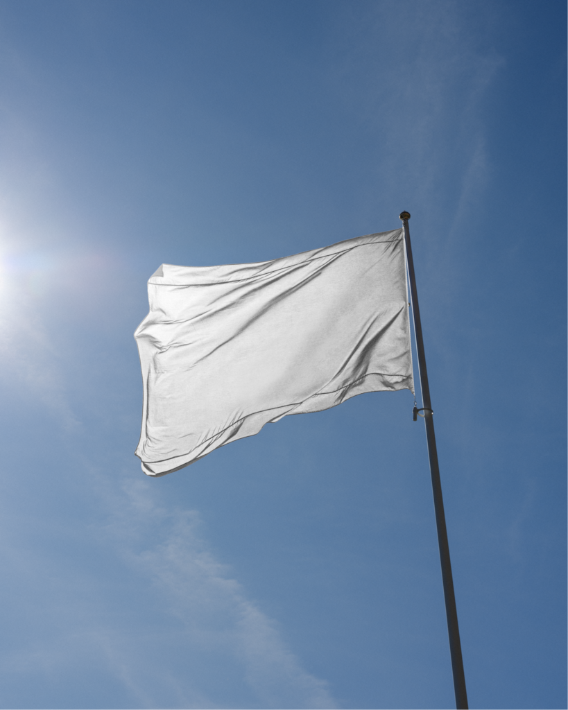 Flag 04