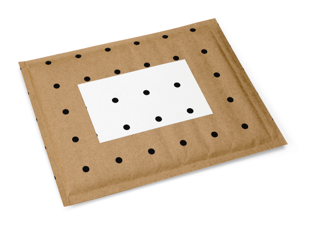 Envelope 0024 — Kraft, padded, label mockup surface