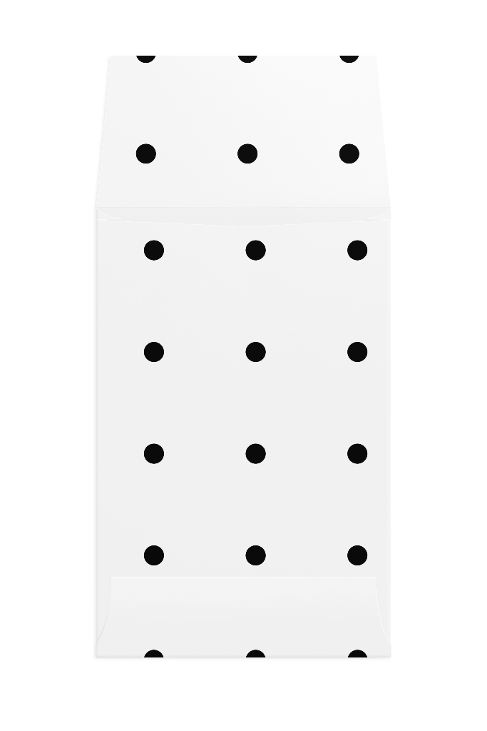 Envelope 1230 — Back, open mockup surface