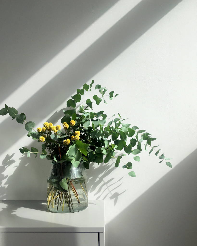 Wall 2151 — With furniture mockup surface