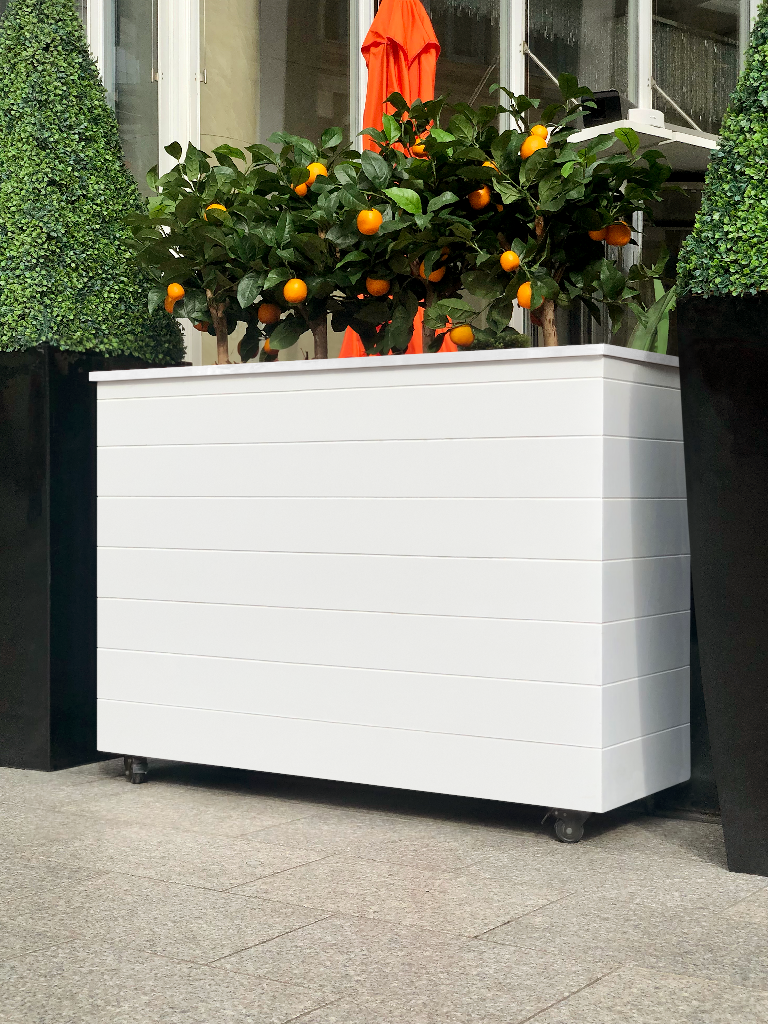 Object 2528 — Flower box mockup surface