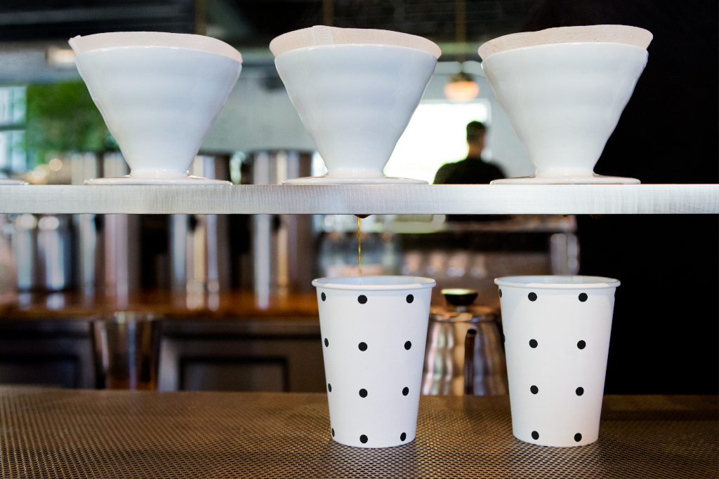 Cup 5114 — On countertop mockup surface