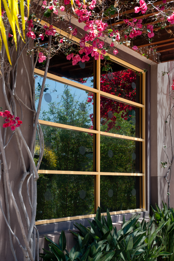 Storefront 2473 — Window glass mockup surface