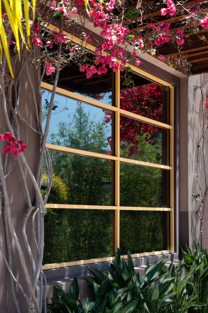 Storefront 2473 — Window glass mockup surface