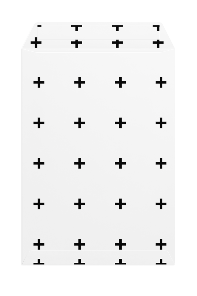 Envelope 1250 — Back, open mockup surface