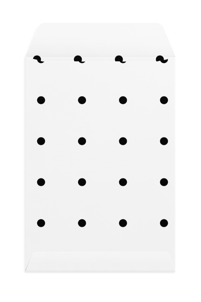 Envelope 1238 — Back, open mockup surface