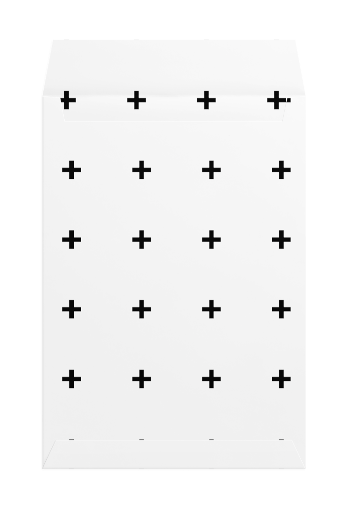 Envelope 1246 — Back, open mockup surface