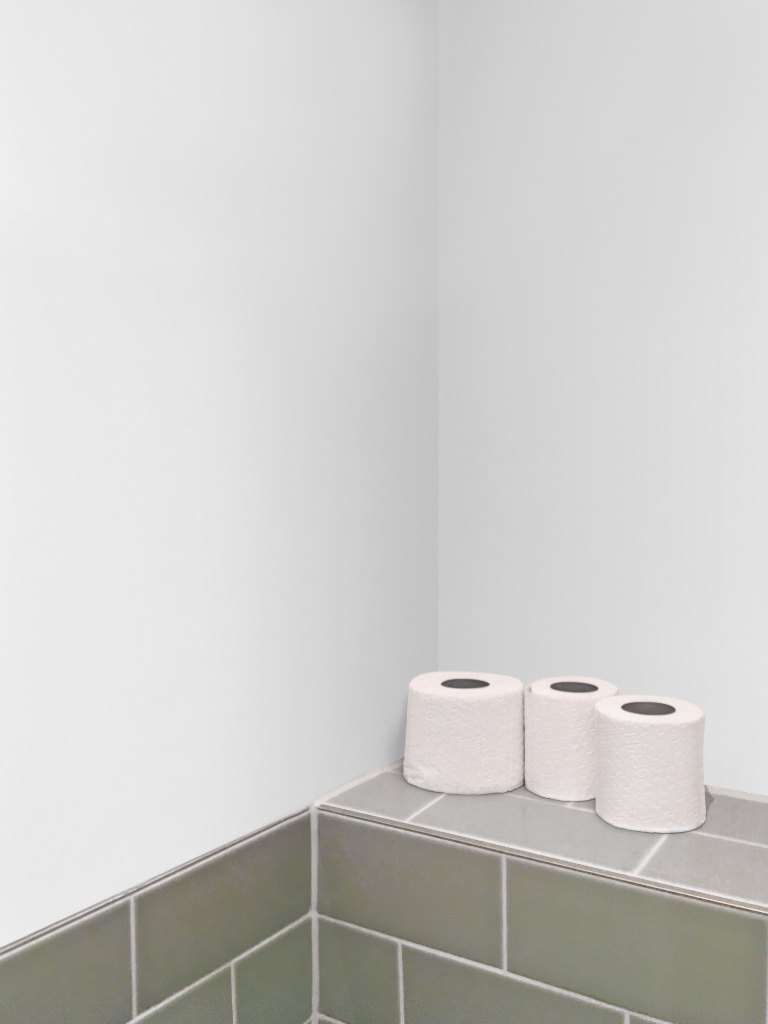 Wall 2150 — Bathroom, with tissue mockup surface