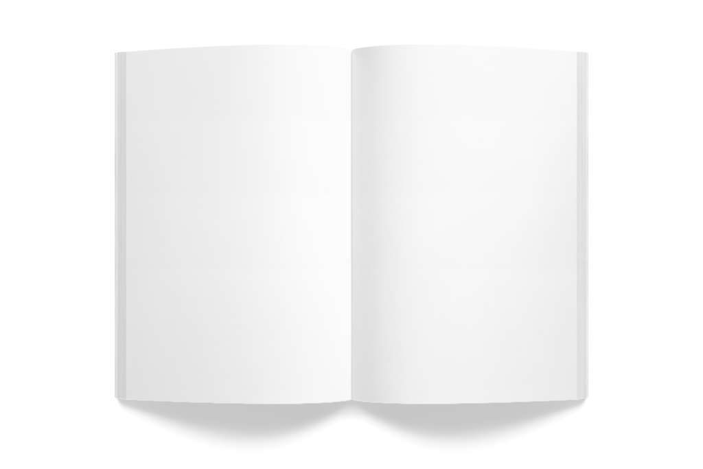 Magazine 1919 — Open mockup surface