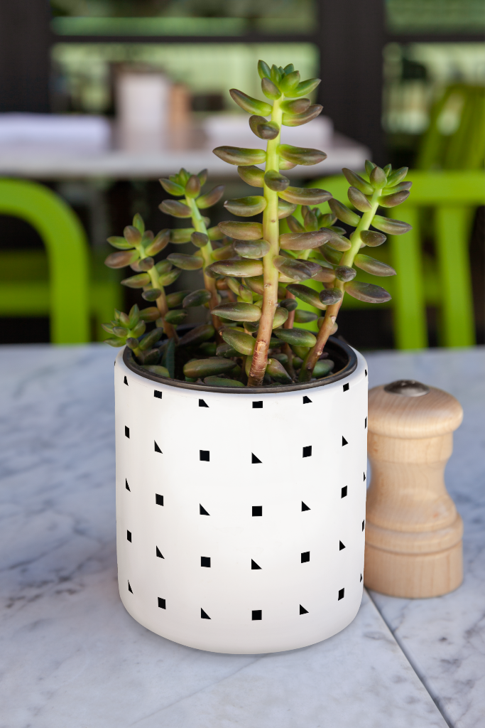 Object 1803 — Planter mockup surface