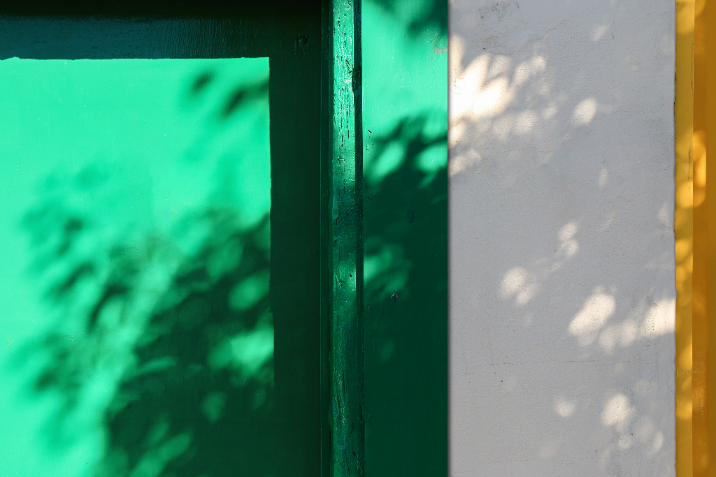 Building 2079 — Wall detail mockup surface