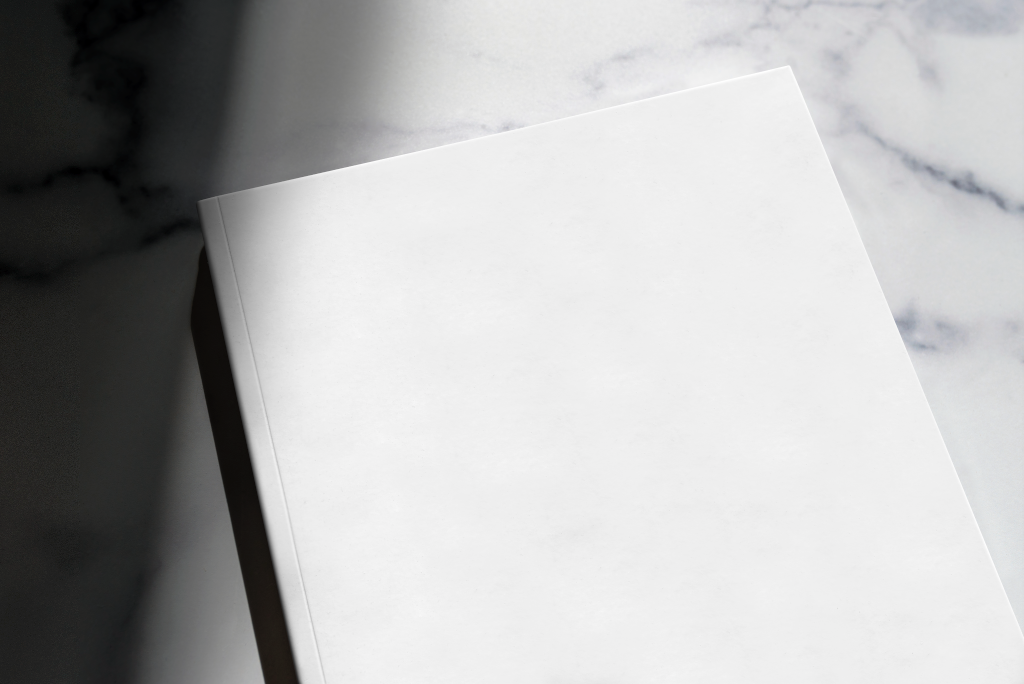 Magazine 2194 — Cover mockup surface