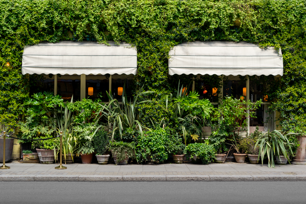 Storefront 2487 — Awning, dual mockup surface