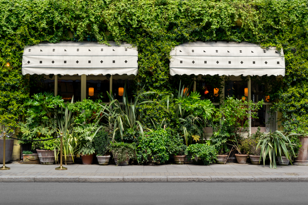 Storefront 2487 — Awning, dual mockup surface